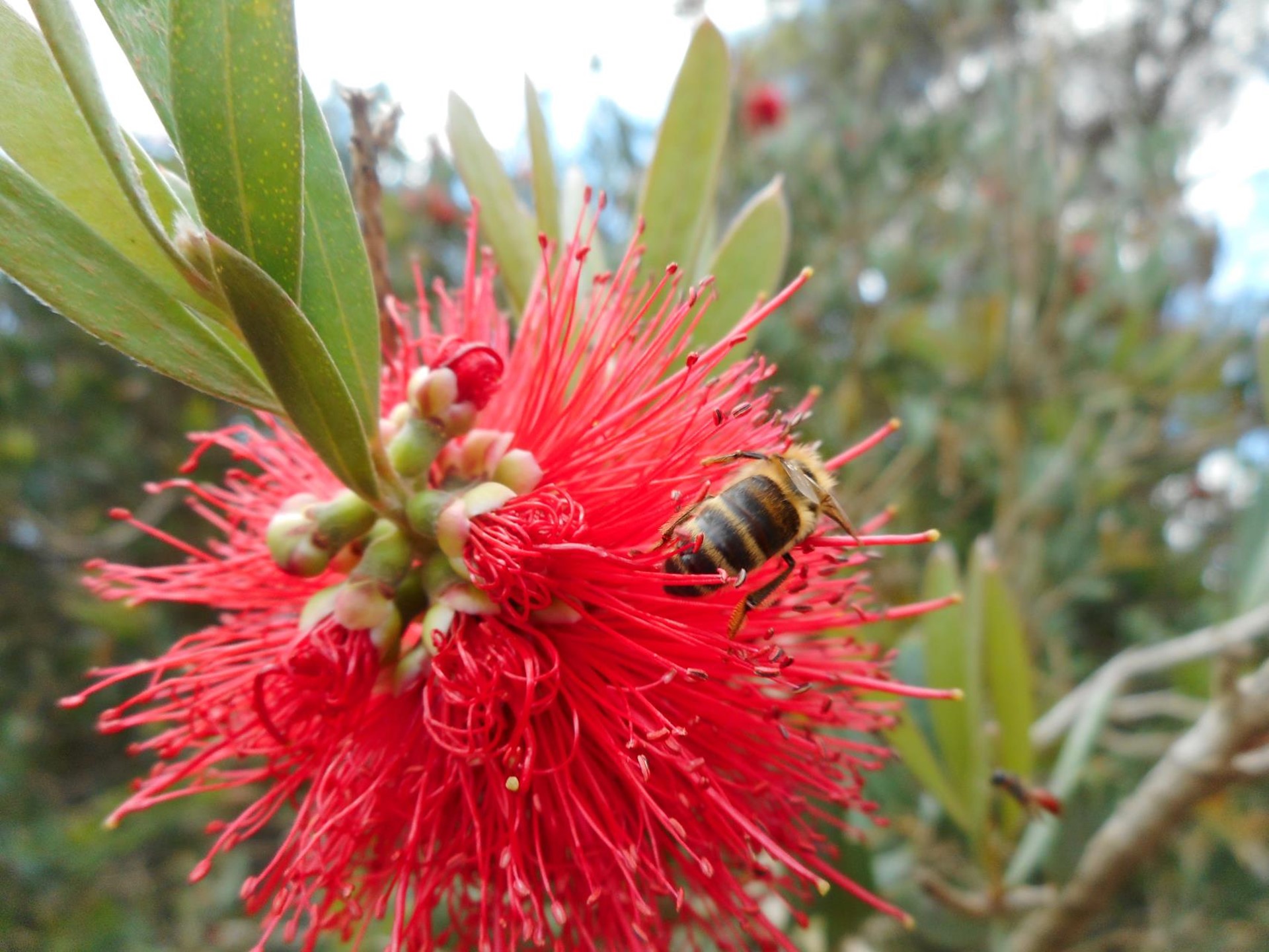 Home » Shire of Woodanilling